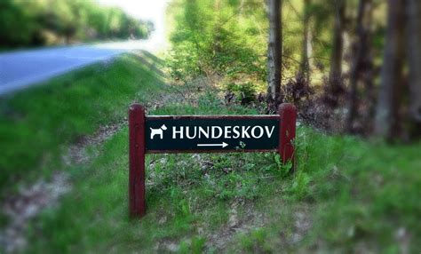 hundeskov struer|Find hundeskove i Struer, klik her!